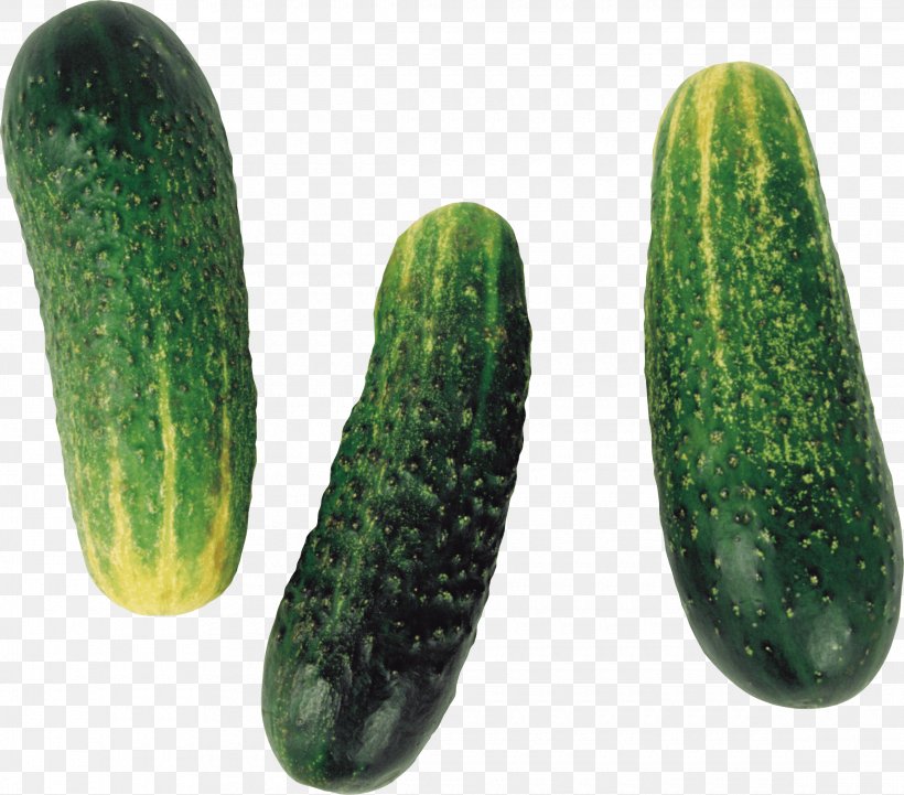 Cucumber Fruit Vegetable Clip Art, PNG, 2320x2040px, Cucumber, Brined Pickles, Cucumber Gourd And Melon Family, Cucumis, Digital Image Download Free