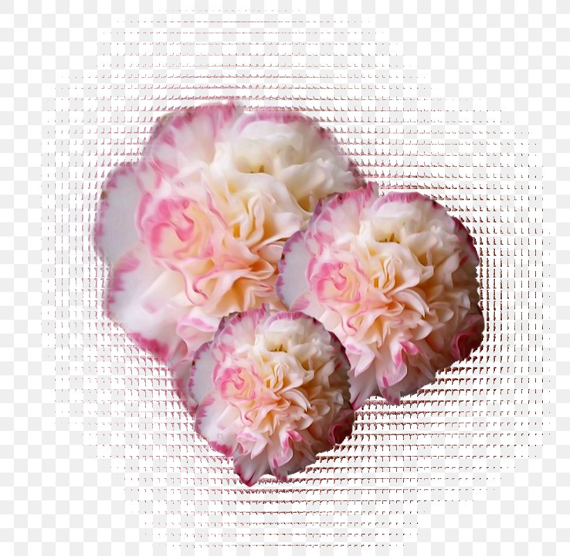 Cut Flowers Clip Art, PNG, 800x800px, Flower, Blossom, Blue, Color, Cut Flowers Download Free