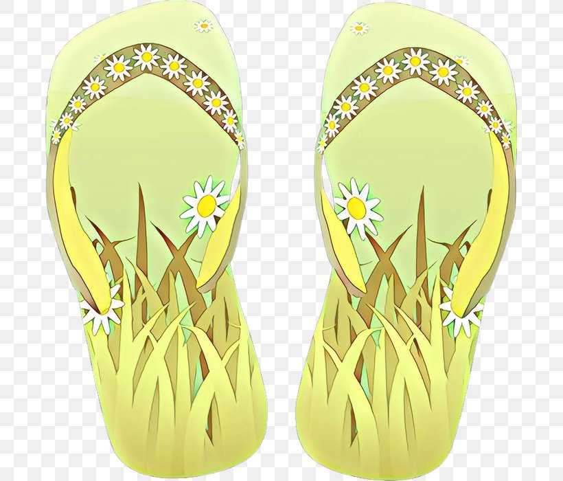 Flip-flops Shoe Product Design, PNG, 687x700px, Flipflops, Footwear, Grass, Plant, Shoe Download Free