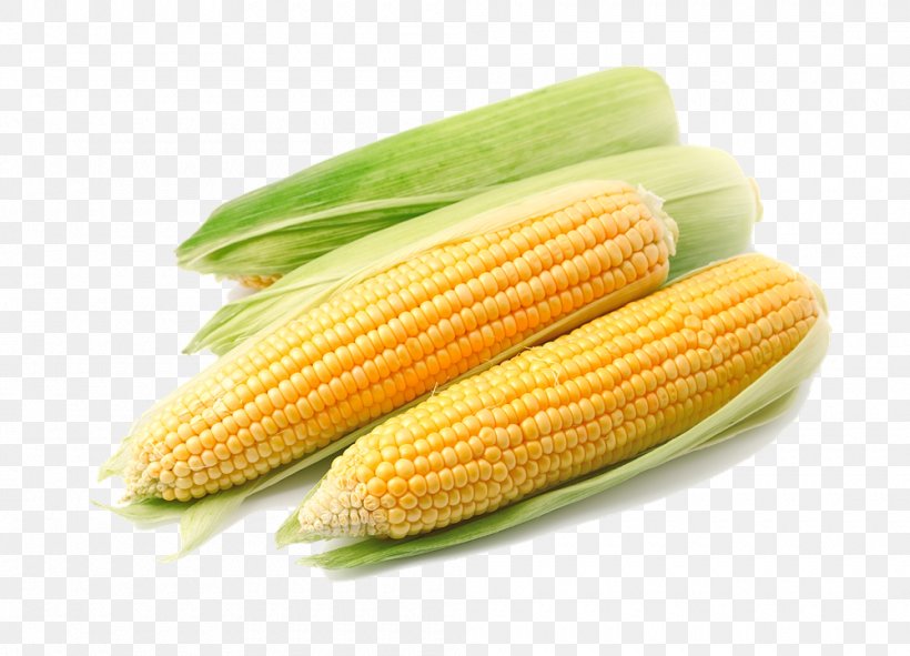 Maize Sweet Corn Clip Art, PNG, 1000x721px, Maize, Commodity, Corn Kernels, Corn On The Cob, Dent Corn Download Free