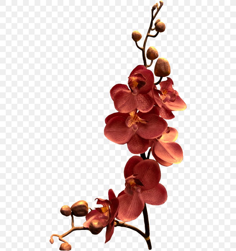 Orchids Clip Art Flower Branch Phalaenopsis Schilleriana, PNG, 480x870px, Orchids, Artificial Flower, Blossom, Branch, Cut Flowers Download Free