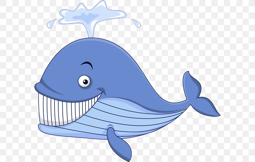Cartoon Whale Illustration, PNG, 600x521px, Cartoon, Blue, Blue Whale, Common Bottlenose Dolphin, Dolphin Download Free