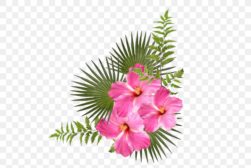 Flower GIF Image Clip Art, PNG, 550x550px, Flower, Anthurium, Artificial Flower, Blue Rose, Botany Download Free