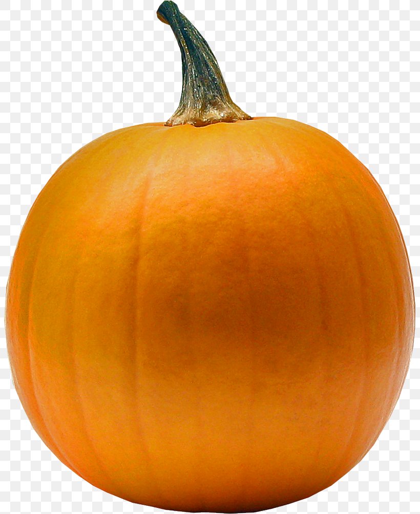 Jack-o'-lantern Pumpkin Gourd Winter Squash, PNG, 805x1004px, Jacko Lantern, Animation, Calabaza, Cucumber Gourd And Melon Family, Cucurbita Download Free