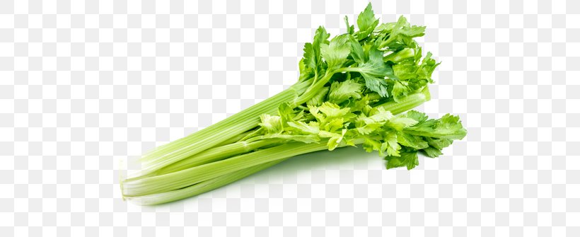 Celery Organic Food Leaf Vegetable Celeriac, PNG, 750x335px, Celery, Broccoli, Celeriac, Choy Sum, Food Download Free