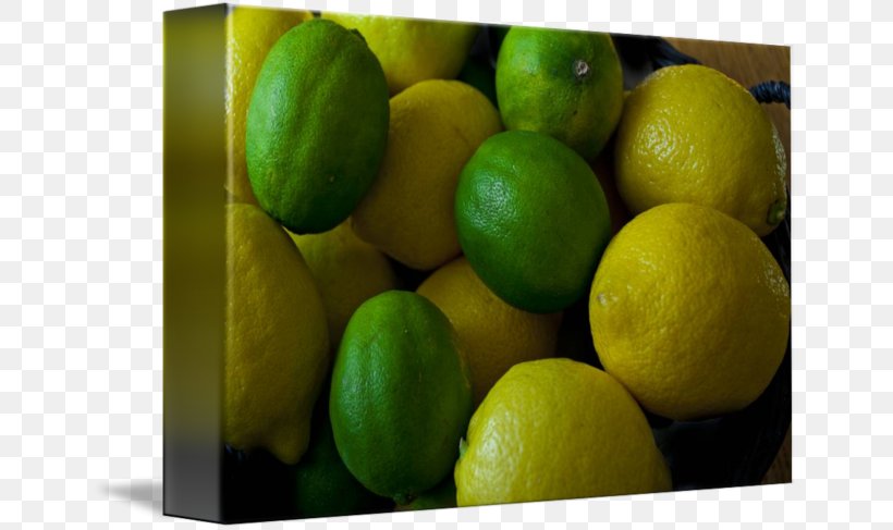 Key Lime Persian Lime Lemon-lime Drink, PNG, 650x487px, Lime, Acid, Citric Acid, Citron, Citrus Download Free