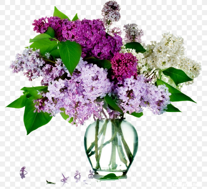 Common Lilac Flower Bouquet Rose, PNG, 782x749px, Lilac, Artificial Flower, Common Lilac, Cut Flowers, Floral Design Download Free
