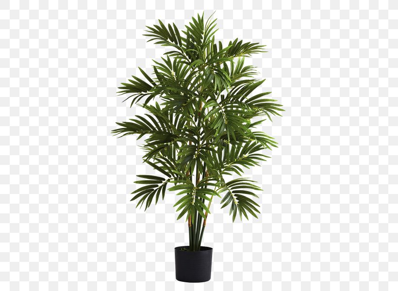 Date Tree Leaf, PNG, 600x600px, Palm Trees, Areca Palm, Areca Palm Tree, Arecales, Artificial Tree Download Free