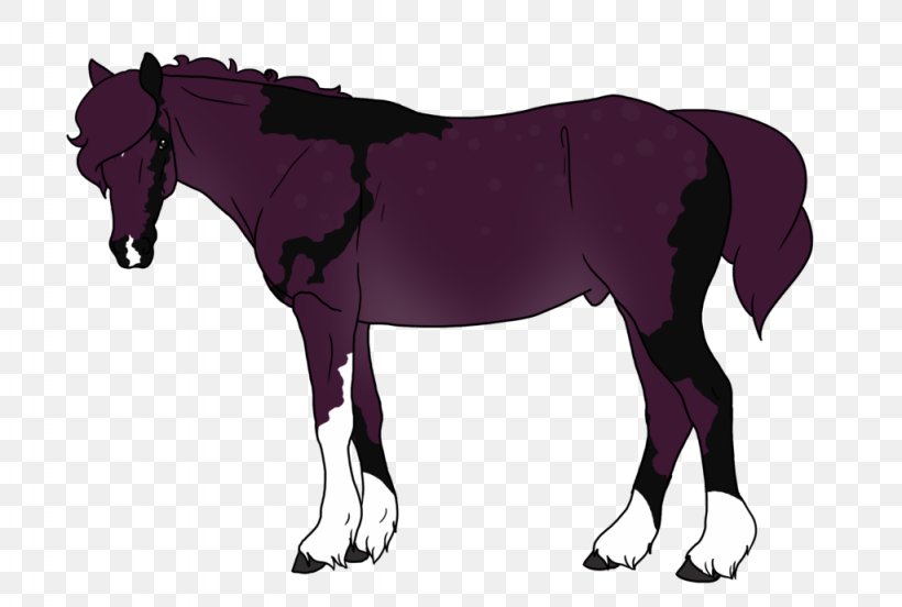 Mane Mustang Stallion Foal Colt, PNG, 1024x690px, Mane, Bridle, Colt, Foal, Halter Download Free