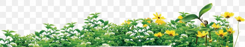 Plant Environmental Protection Icon, PNG, 2217x429px, Plant, Commodity, Designer, Environmental Protection, Flower Download Free