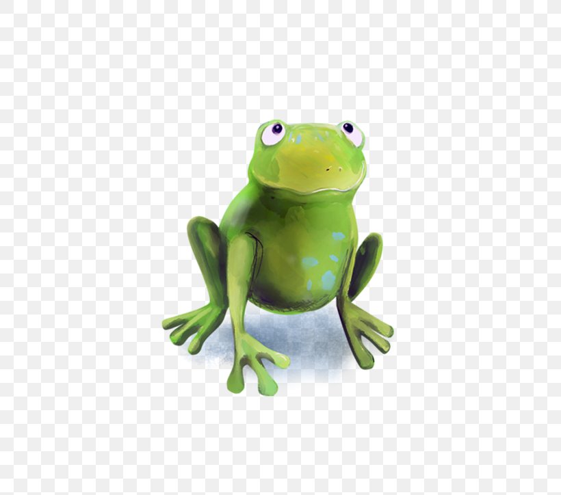 True Frog Tree Frog Toad, PNG, 800x724px, True Frog, Amphibian, Frog, Organism, Ranidae Download Free
