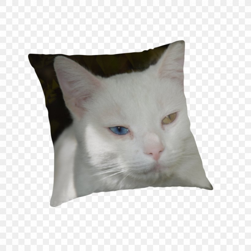 Whiskers Domestic Short-haired Cat Cushion Pillow, PNG, 875x875px, Whiskers, Cat, Cat Like Mammal, Cushion, Domestic Short Haired Cat Download Free