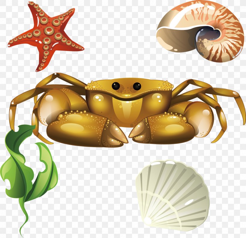 Crab Euclidean Vector Seashell, PNG, 2061x1996px, Crab, Cangrejo, Cdr, Food, Insect Download Free