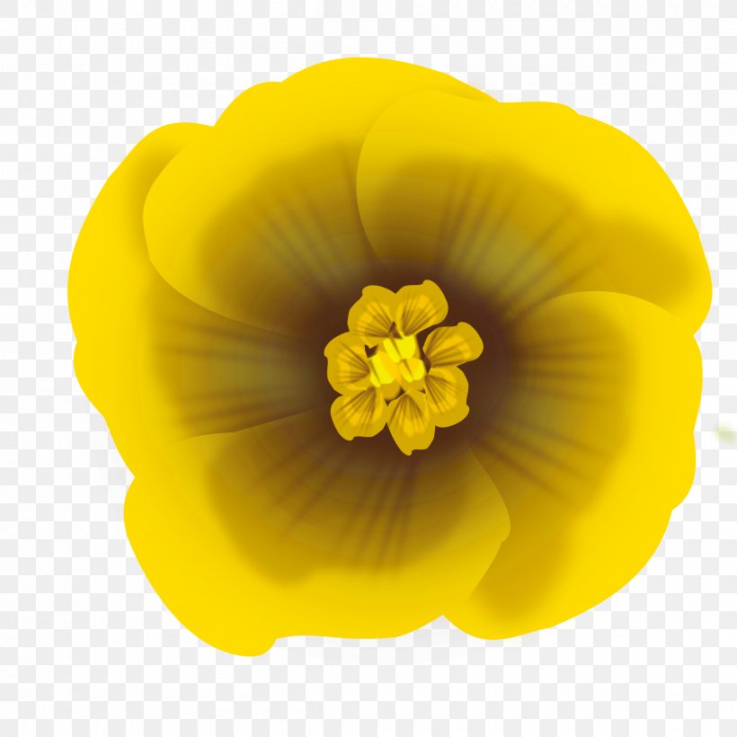 Flower Yellow Clip Art, PNG, 2400x2400px, Watercolor, Cartoon, Flower, Frame, Heart Download Free