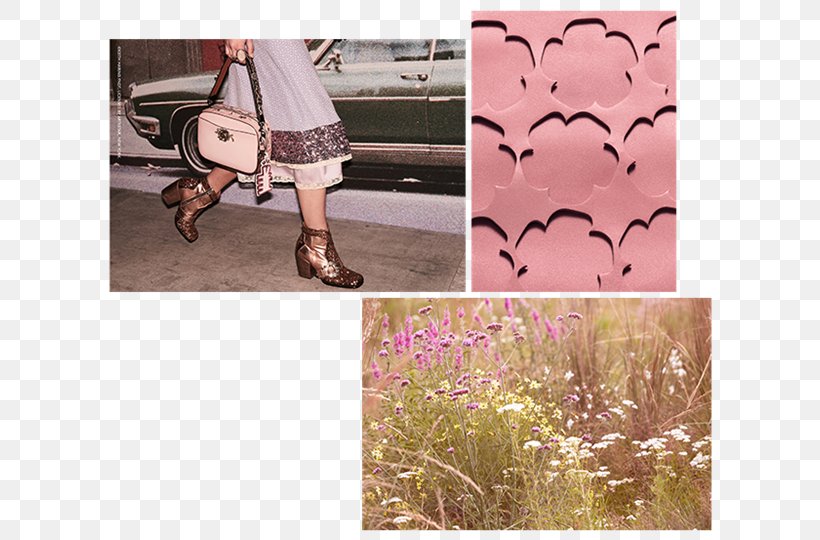 Pink M Shoe, PNG, 642x540px, Pink M, Petal, Pink, Shoe Download Free