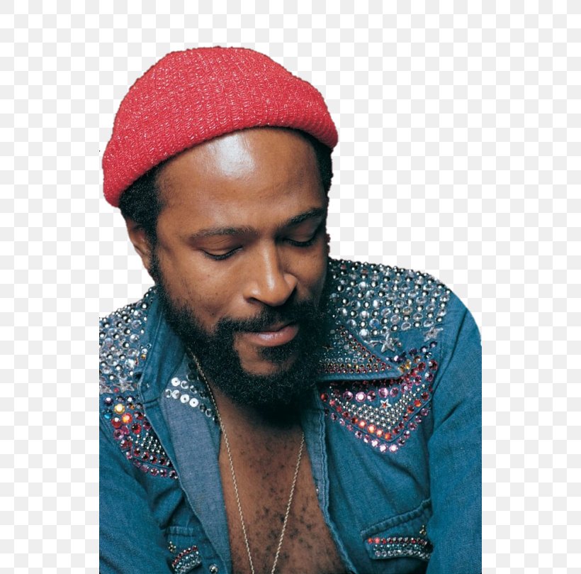 The Marvin Gaye Collection What's Going On Musician Motown, PNG, 540x809px, Watercolor, Cartoon, Flower, Frame, Heart Download Free