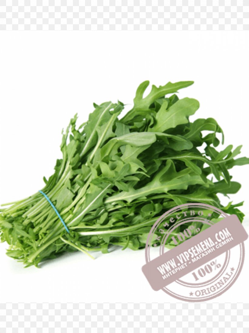 Arugula Salad Herb Vegetable Spice, PNG, 1000x1340px, Arugula, Basil, Choy Sum, Collard Greens, Condiment Download Free