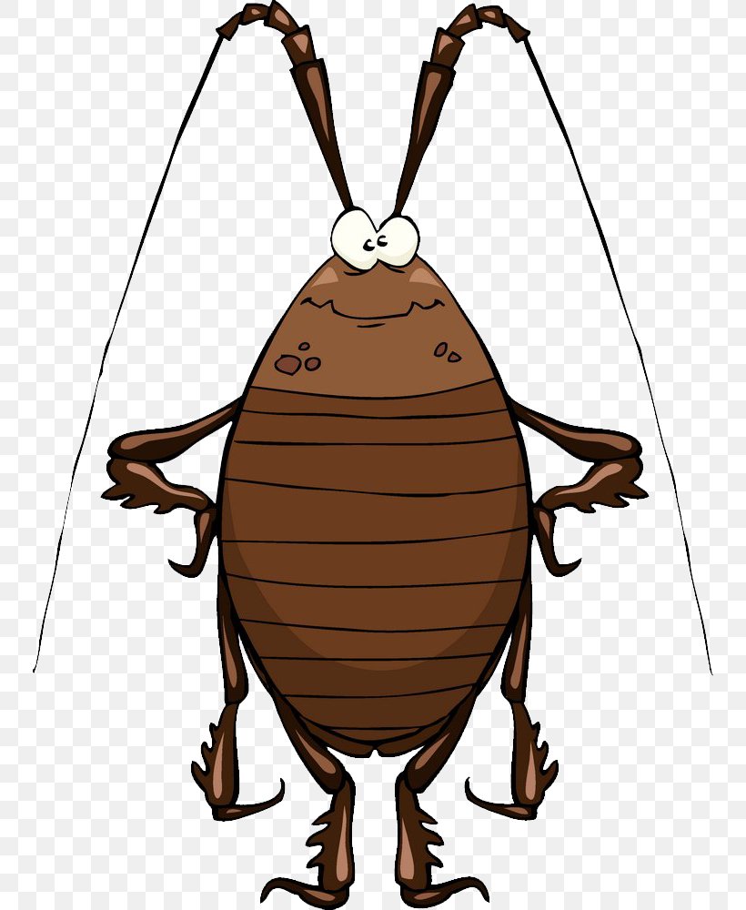 Cockroach Cartoon Stock Illustration Clip Art, PNG, 748x1000px, Cockroach, Brown Cockroach, Cartoon, Humour, Insect Download Free