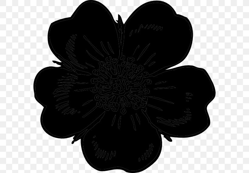 Cut Flowers Black M, PNG, 600x570px, Cut Flowers, Black, Black M, Blackandwhite, Flower Download Free