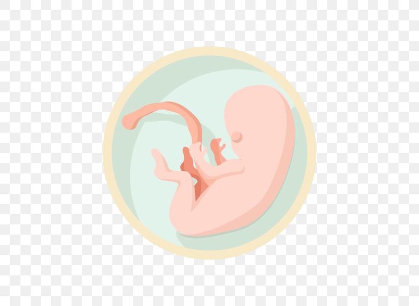 Fetus Infant Birth, PNG, 600x600px, Fetus, Birth, Child, Cord Blood, Designer Download Free