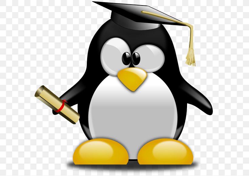 Graduation Ceremony Clip Art Graduate University Openclipart Penguin, PNG, 600x581px, Graduation Ceremony, Academic Degree, Beak, Bird, College Download Free