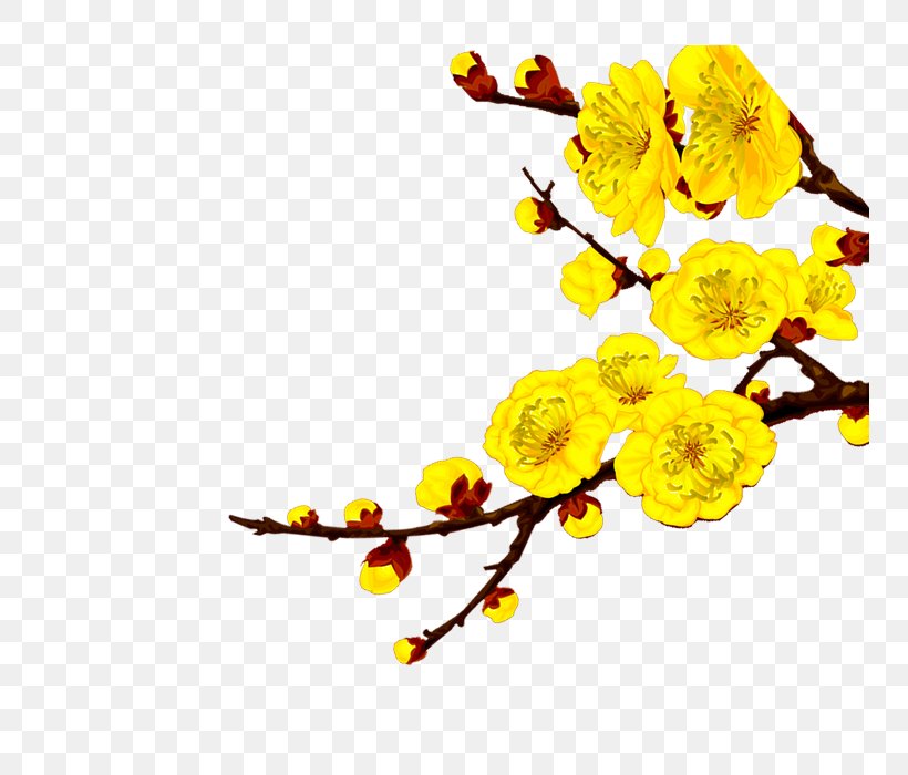 Plum Blossom Gold, PNG, 750x700px, Plum Blossom, Branch, Flower, Flowering Plant, Fruit Download Free