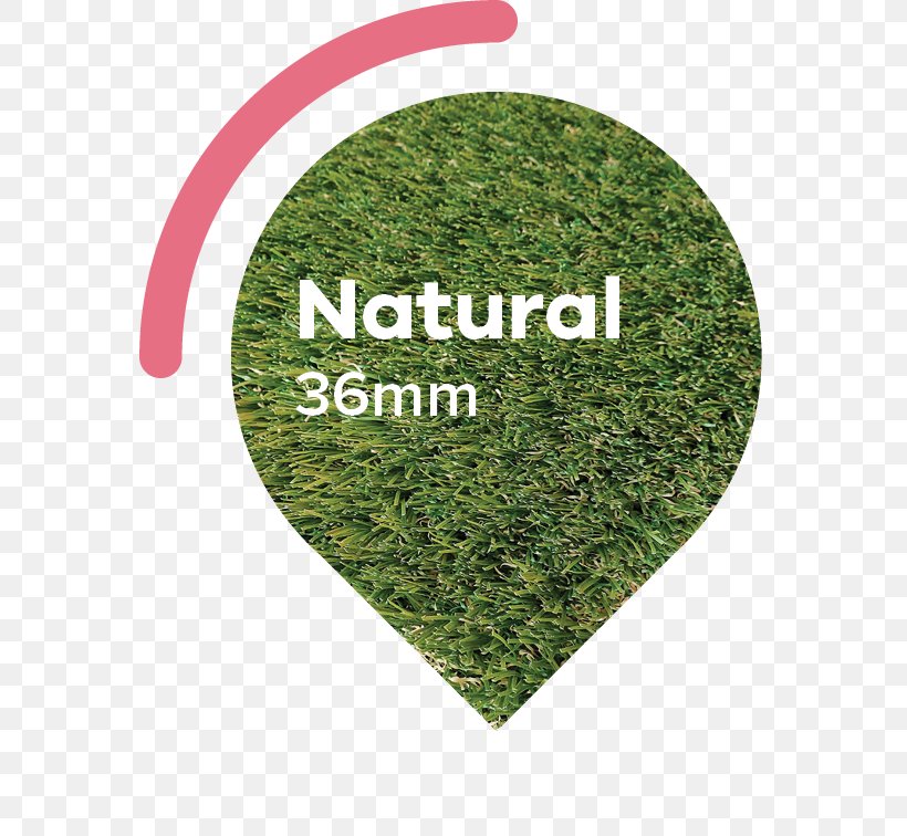 Artificial Turf Lawn Sod Garden Landscaping, PNG, 567x756px, Artificial Turf, Color, Cotton, Garden, Grass Download Free