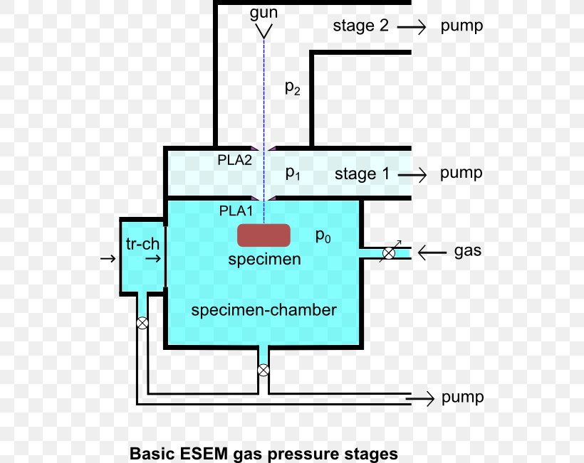 Environmental Scanning Electron Microscope Microscopy, PNG, 539x651px, Scanning Electron Microscope, Area, Diagram, Drawing, Electron Download Free