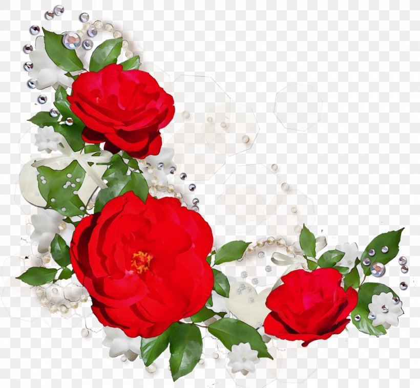 Garden Roses, PNG, 1600x1480px, Watercolor, Cut Flowers, Floribunda, Flower, Flowering Plant Download Free