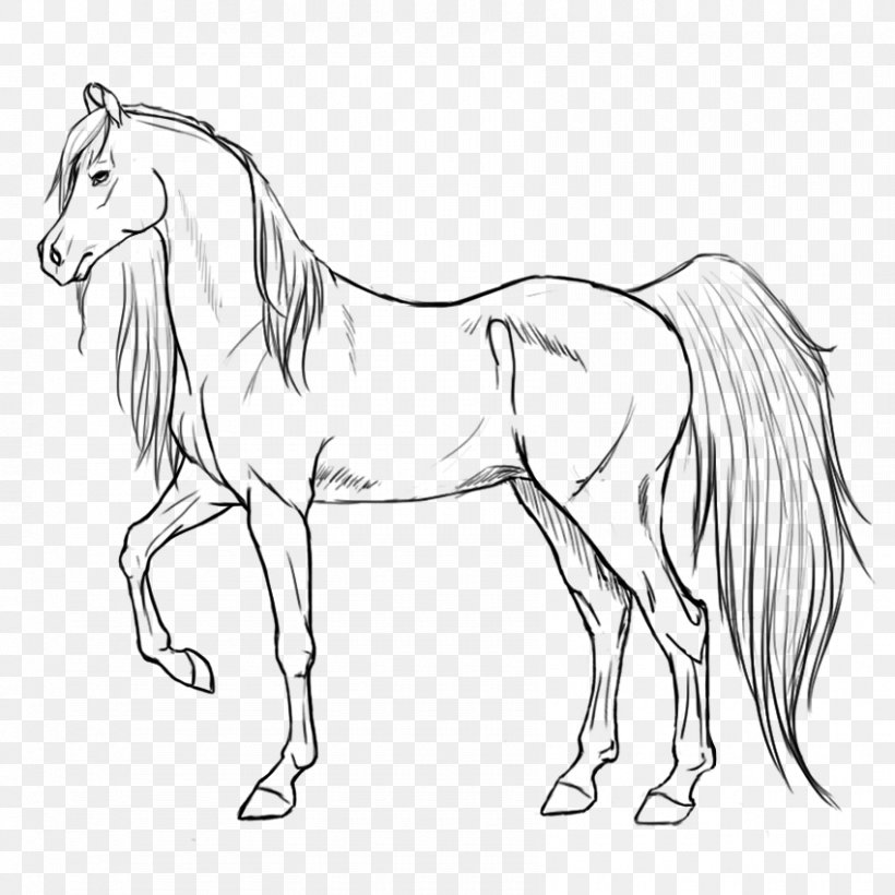 Line Art Pony Mustang Mane, PNG, 850x850px, Line Art, Animal Figure, Arabian Horse, Art, Artist Download Free
