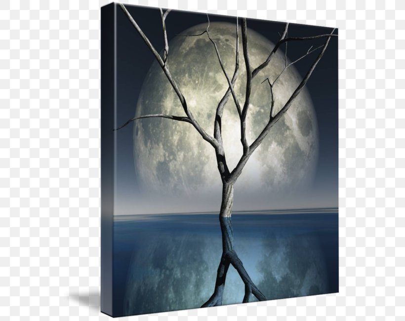 Picture Frames Gallery Wrap Art Stock Photography, PNG, 566x650px, Picture Frames, Art, Branch, Canvas, Computer Download Free