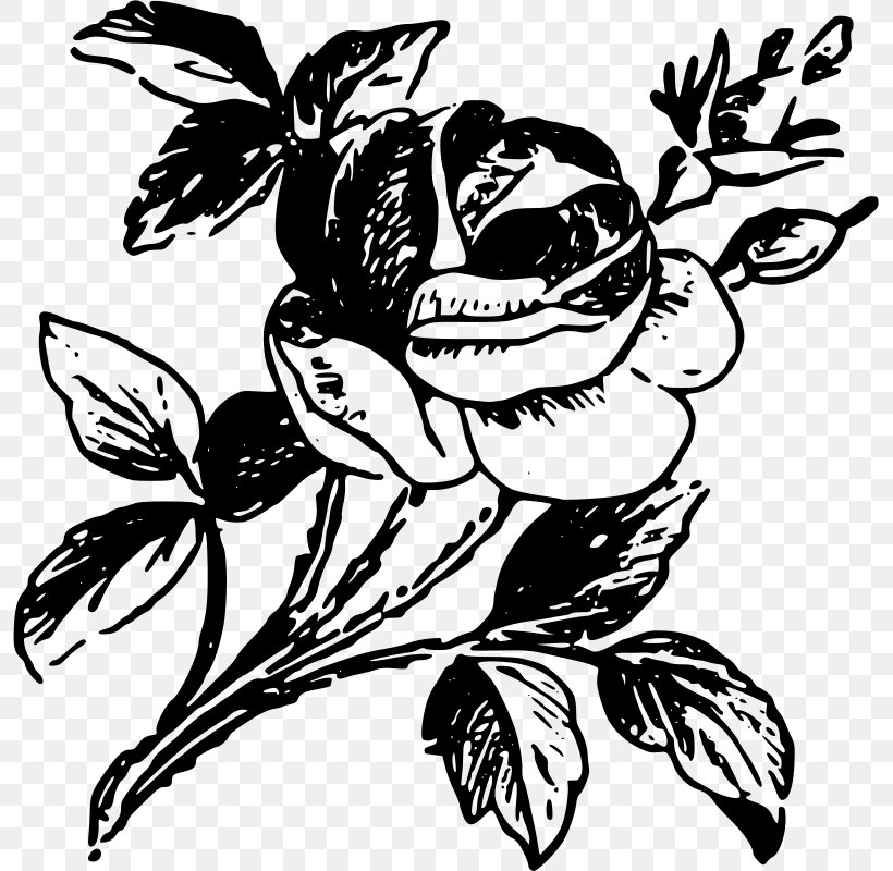 Rose Drawing Stencil Art, PNG, 795x800px, Rose, Art, Artwork, Bird, Black And White Download Free