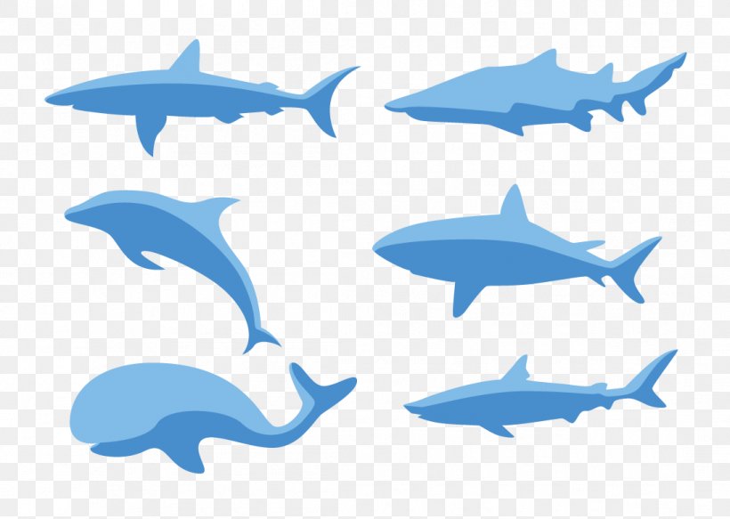 Common Bottlenose Dolphin Clip Art, PNG, 1096x780px, Common Bottlenose Dolphin, Cartilaginous Fish, Dolphin, Fin, Fish Download Free