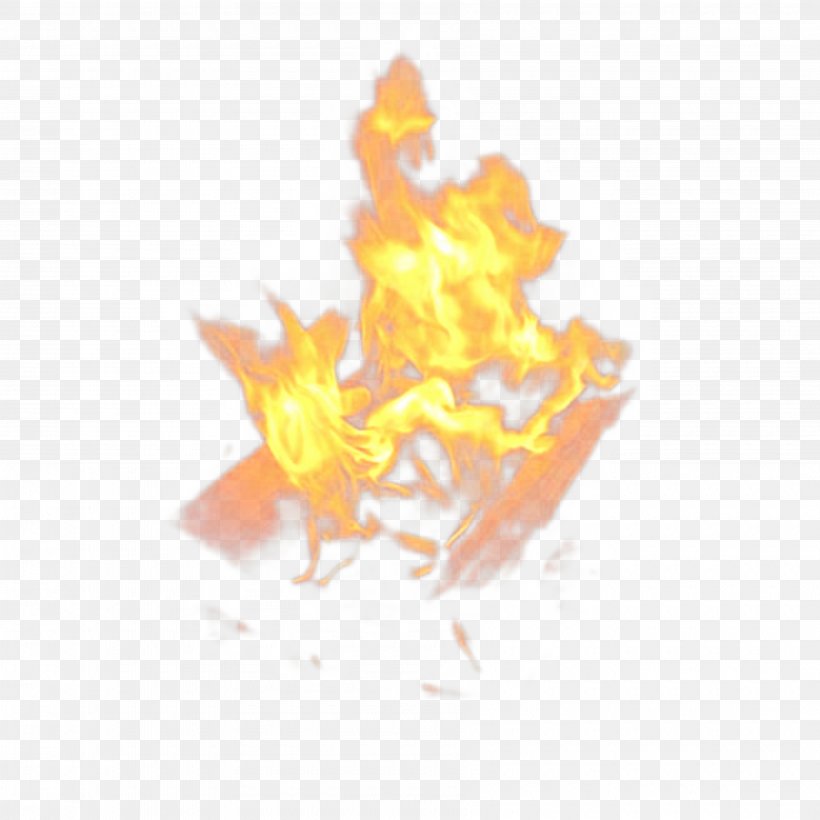 Flame Fire Drawing Illustration Jimmy Five, PNG, 3600x3600px, Flame, Bonfire, Drawing, Fire, Jimmy Five Download Free