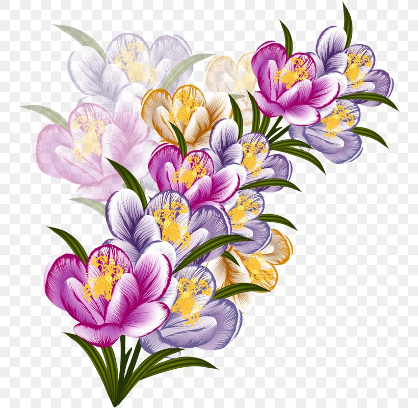 Flower Floral Design Clip Art, PNG, 750x800px, Flower, Art, Crocus, Cut Flowers, Drawing Download Free