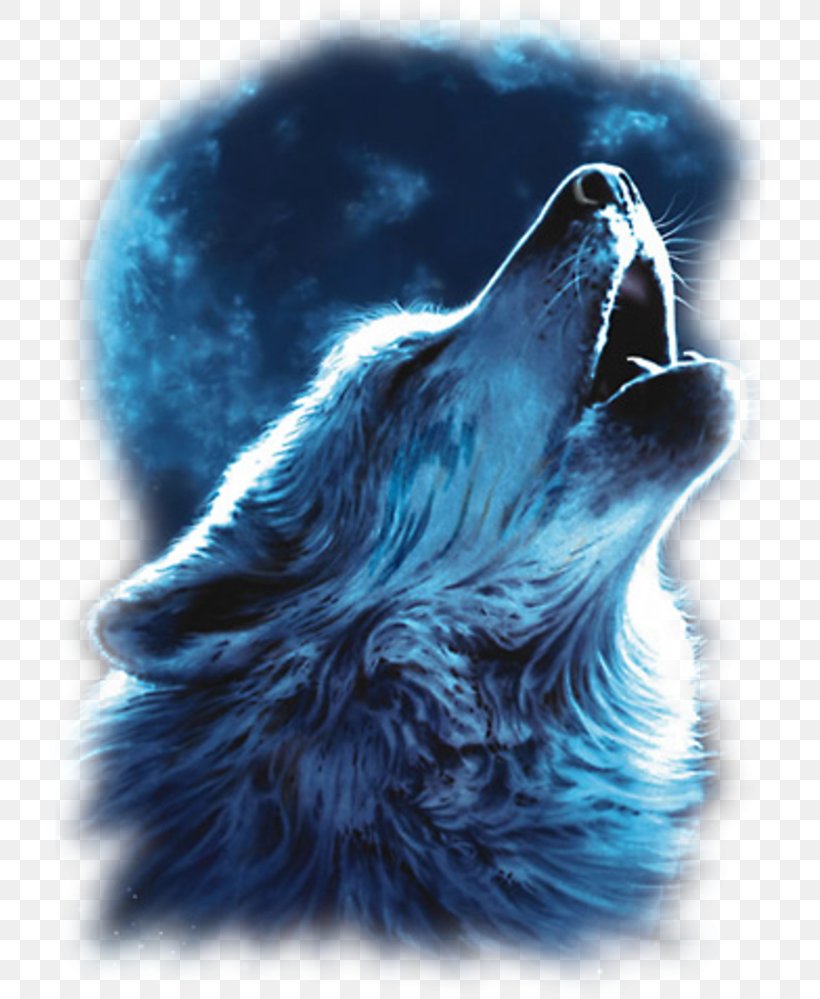 Gray Wolf Wolf Nation: The Life, Death, And Return Of Wild American Wolves Drawing Lone Wolf, PNG, 737x999px, Gray Wolf, Art, Artist, Aullido, Carnivoran Download Free