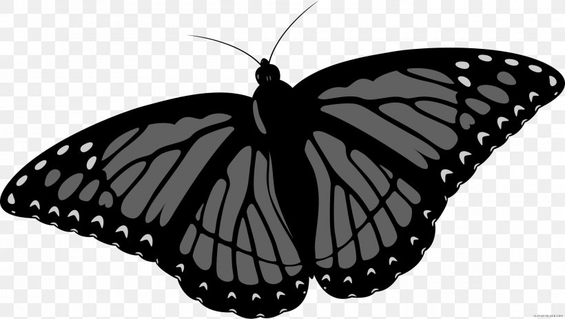 Monarch Butterfly Clip Art, PNG, 2400x1356px, Butterfly, Arthropod, Black And White, Brush Footed Butterfly, Brushfooted Butterflies Download Free