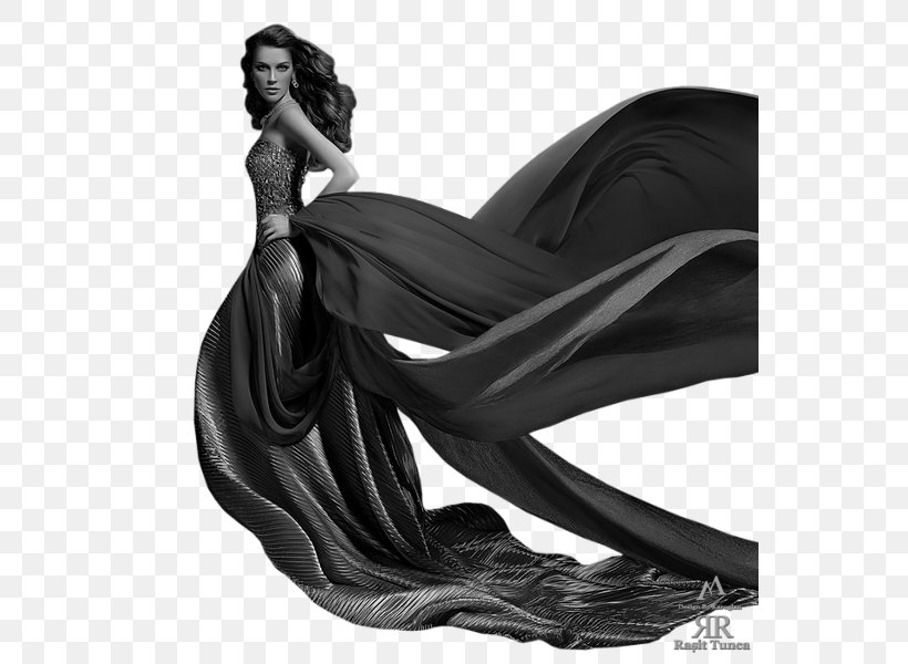 Woman Dress Photography Gown, PNG, 551x600px, Woman, Beauty, Black, Black And White, Blog Download Free