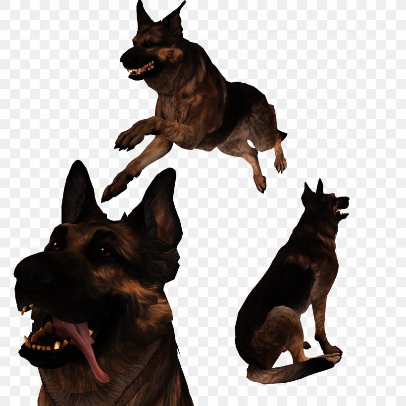 Fallout 4 German Shepherd Dogmeat Kunming Wolfdog, PNG, 1800x1800px, Fallout 4, Australian Kelpie, Carnivoran, Computer Software, Dog Download Free