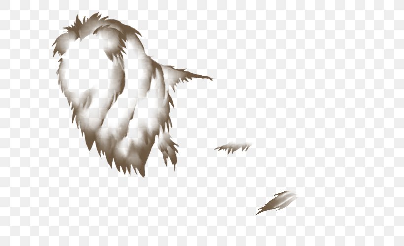 Feather Bird Of Prey Lion Beak, PNG, 640x500px, Feather, Beak, Bird, Bird Of Prey, Grass Download Free