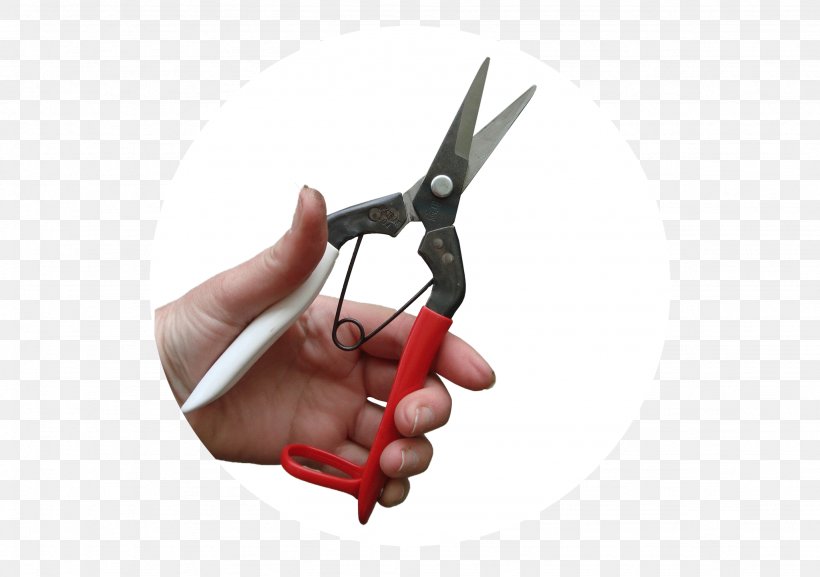 Gardening Snips Scissors Sharpex Engineering Works- Grass Cutting Machine| Lawn Mowers, PNG, 2048x1442px, Garden, Com, Concept, Finger, Gardening Download Free
