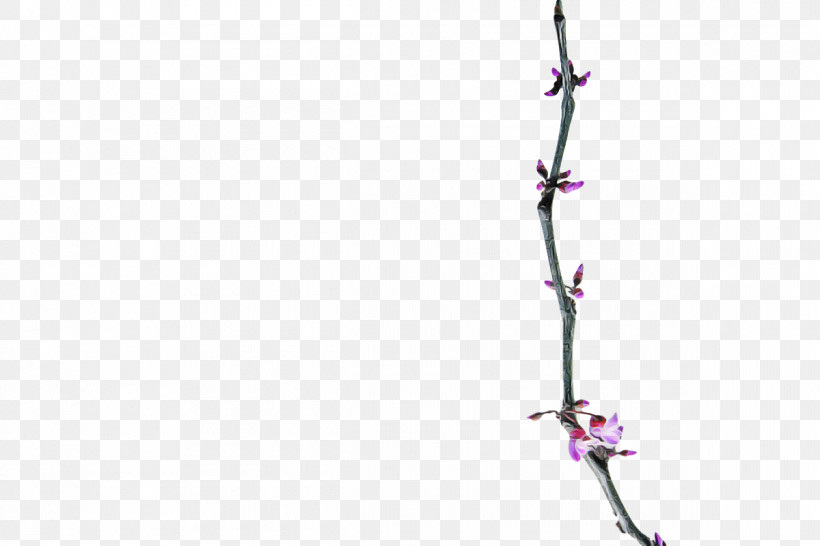 Lavender, PNG, 1200x800px, Twig, Geometry, Lavender, Line, Mathematics Download Free