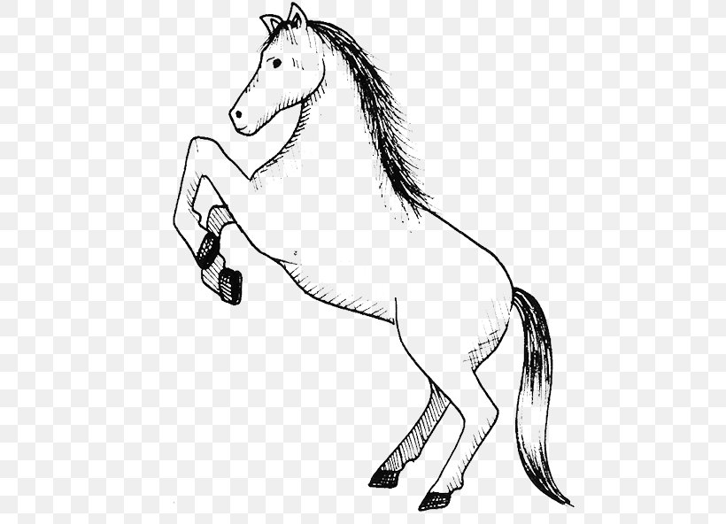 Mule Stallion Mustang Colt Mane, PNG, 500x592px, Mule, Animal Figure, Artwork, Black And White, Bridle Download Free