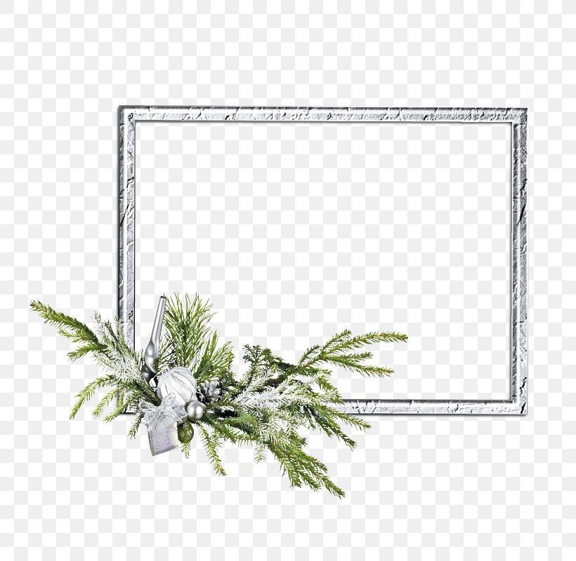 New Year Frame, PNG, 800x800px, Picture Frames, Colorado Spruce, Ded Moroz, Fir, Frame Story Download Free