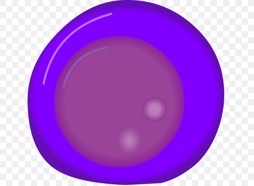 Proerythroblast Nucleated Red Blood Cell Haematopoiesis Monoblast, PNG, 641x600px, Proerythroblast, Diagram, Haematopoiesis, Magenta, Nucleated Red Blood Cell Download Free