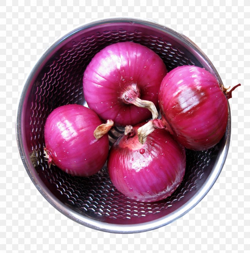Red Onion Shallot Yellow Onion Free Onion, PNG, 954x965px, Red Onion, Android, Apple, Food, Free Onion Download Free