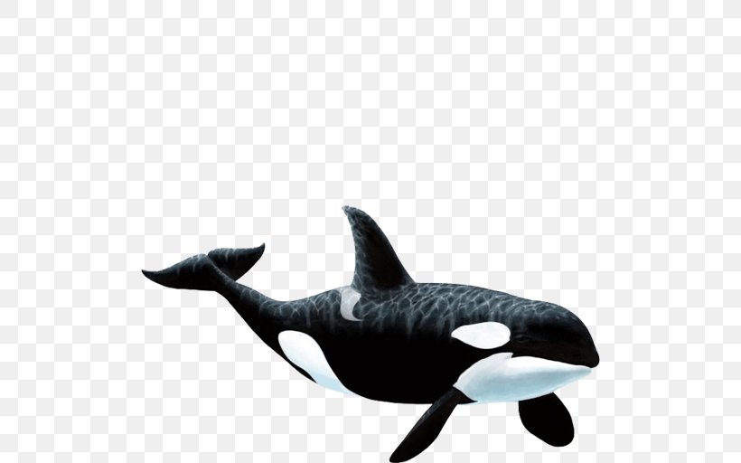 Wall Decal Killer Whale Sticker, PNG, 512x512px, Wall Decal, Apex Predator, Ceiling, Decal, Dolphin Download Free