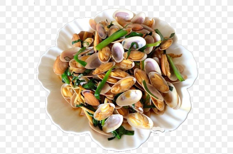 Clam Download, PNG, 580x543px, Clam, Animal Source Foods, Clams Oysters Mussels And Scallops, Cuisine, Dish Download Free