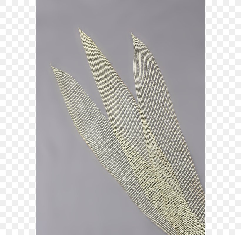 Feather Material, PNG, 800x800px, Feather, Material Download Free