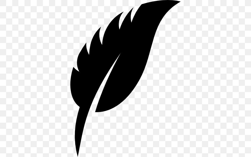 Feather, PNG, 512x512px, Feather, Beak, Bird, Black, Black And White Download Free